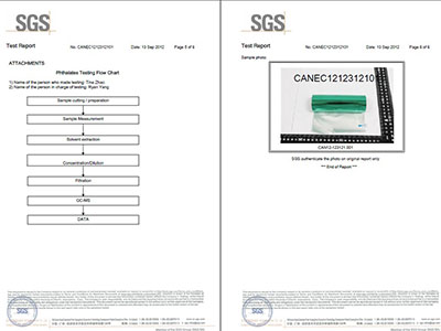 SGS检测报告