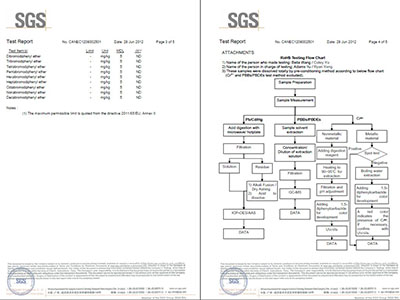 SGS检测报告